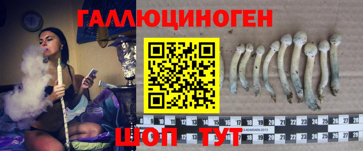 Псилоцибиновые грибы Magic Shrooms  Галлюциногенные грибы GOLDEN TEACHER  Людиново  Вход с VPN 